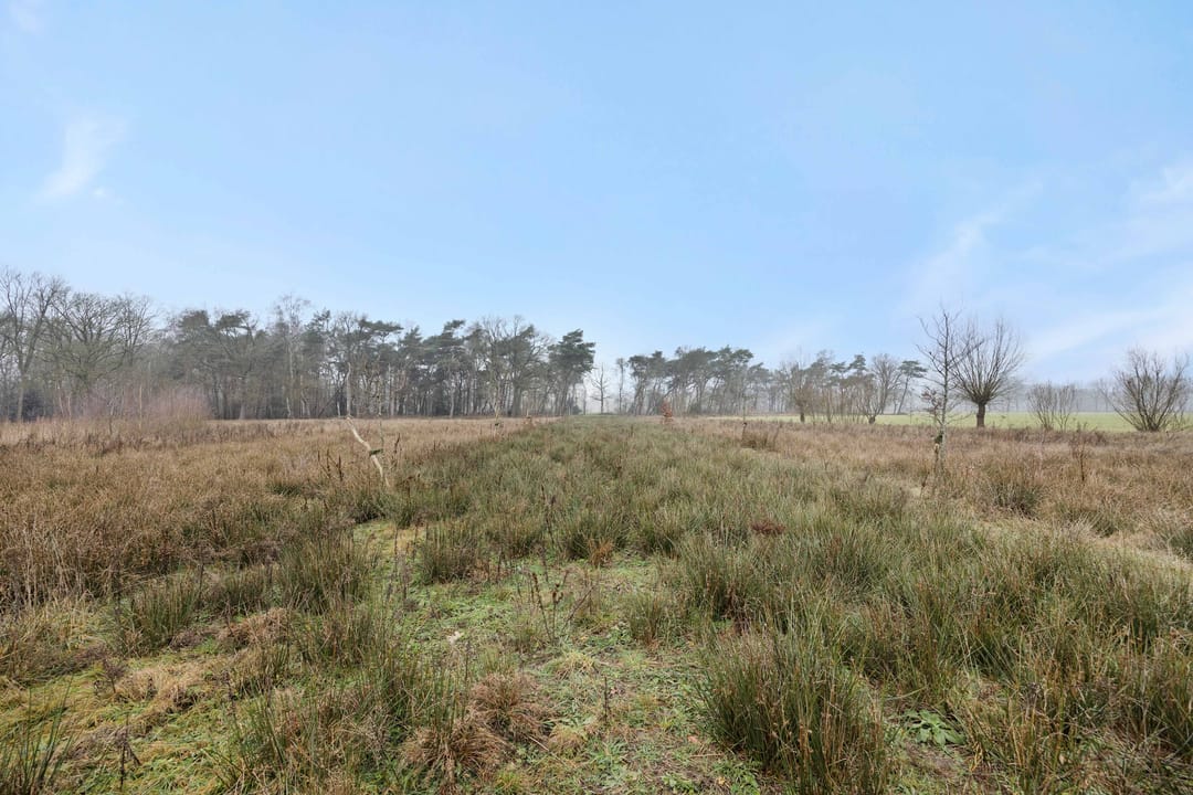 Foto 11 van Landgoed De Berkt - Bouwkavel 1