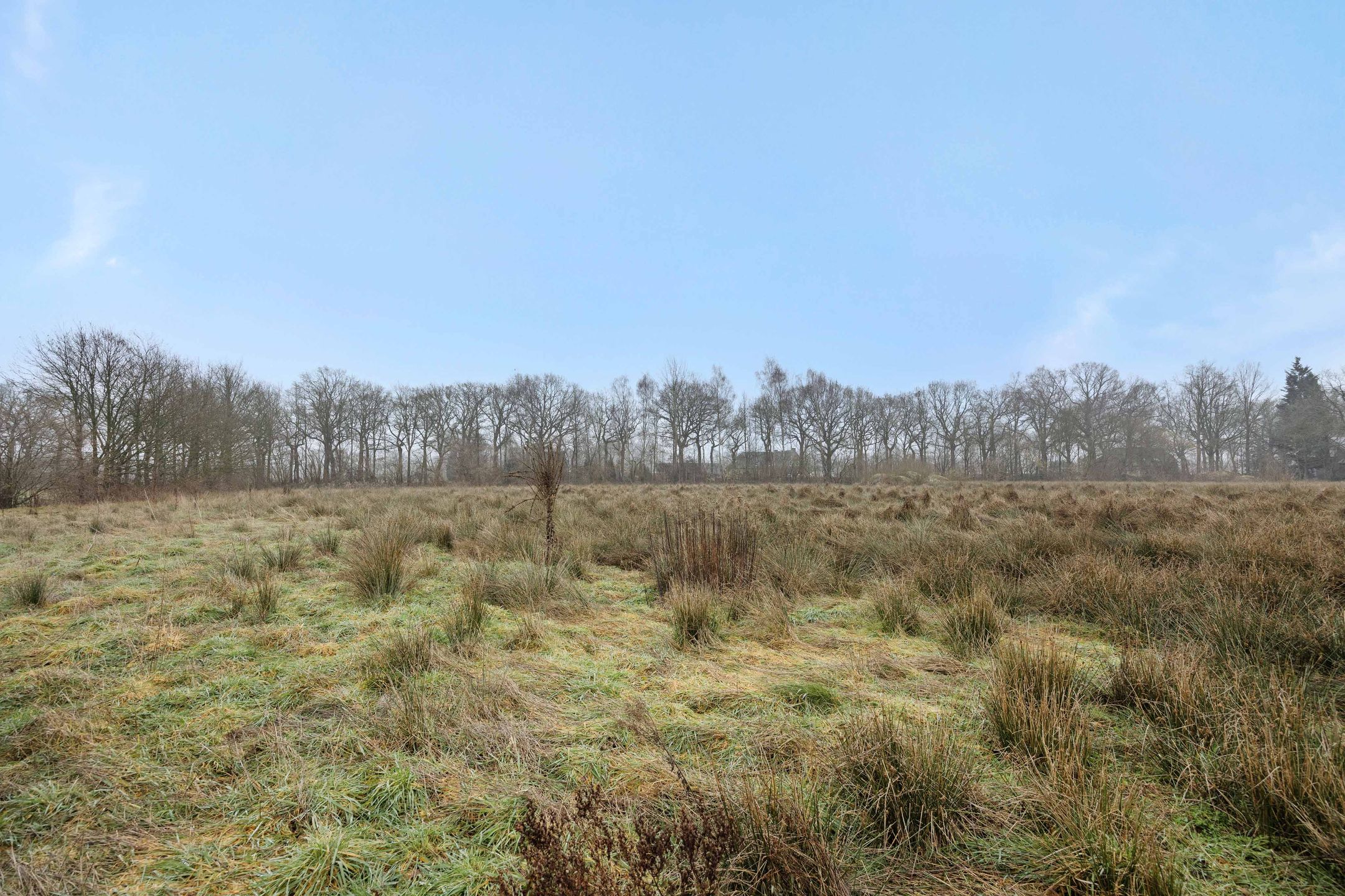 Foto 12 van Landgoed De Berkt - Bouwkavel 1