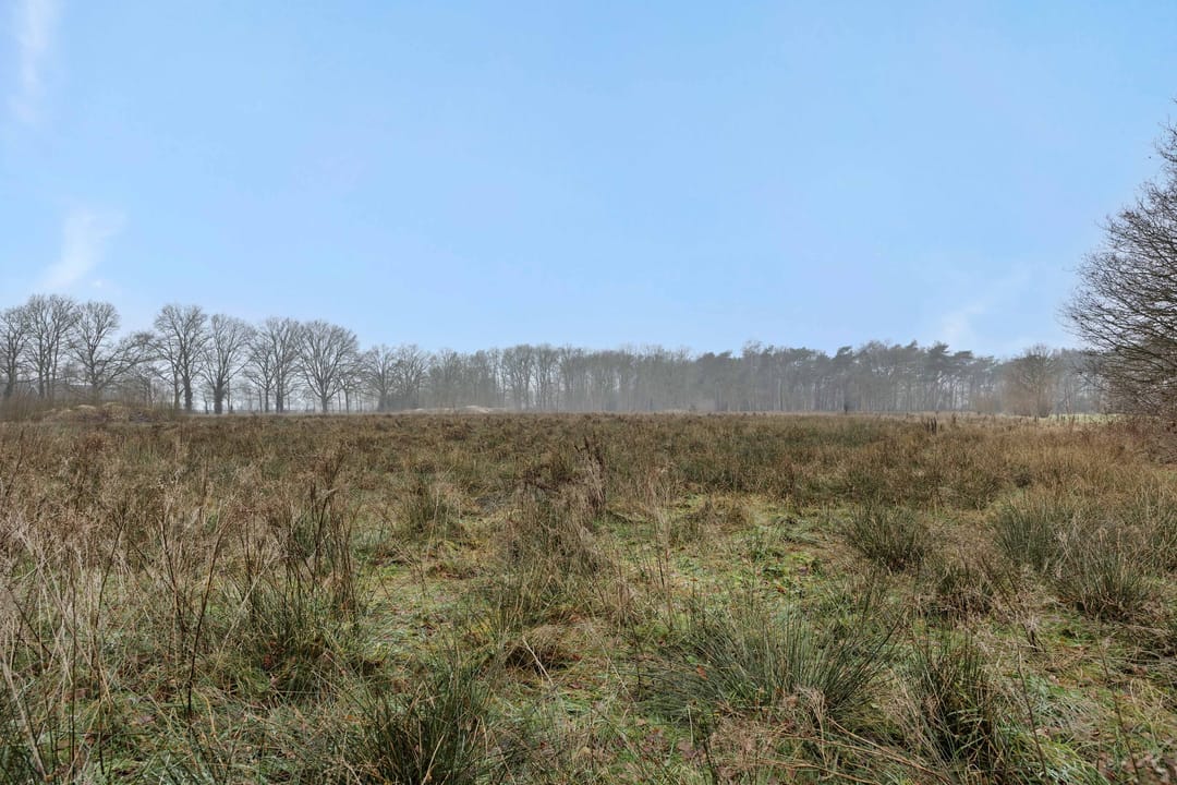 Foto 13 van Landgoed De Berkt - Bouwkavel 1