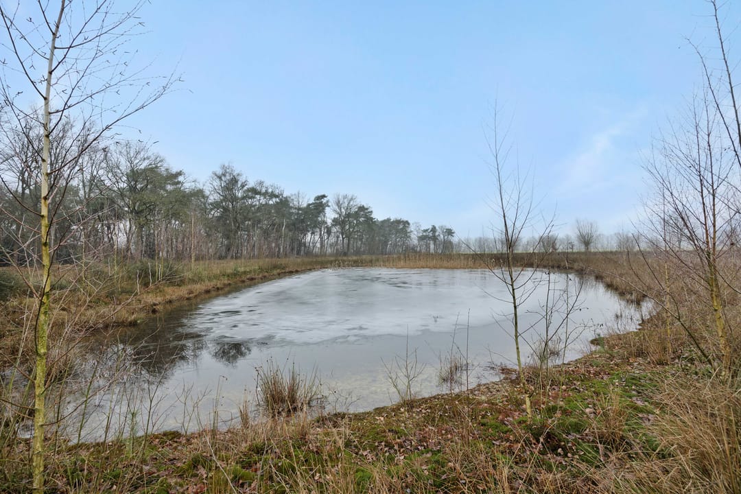 Photo 8 of Landgoed De Berkt - Bouwkavel 2