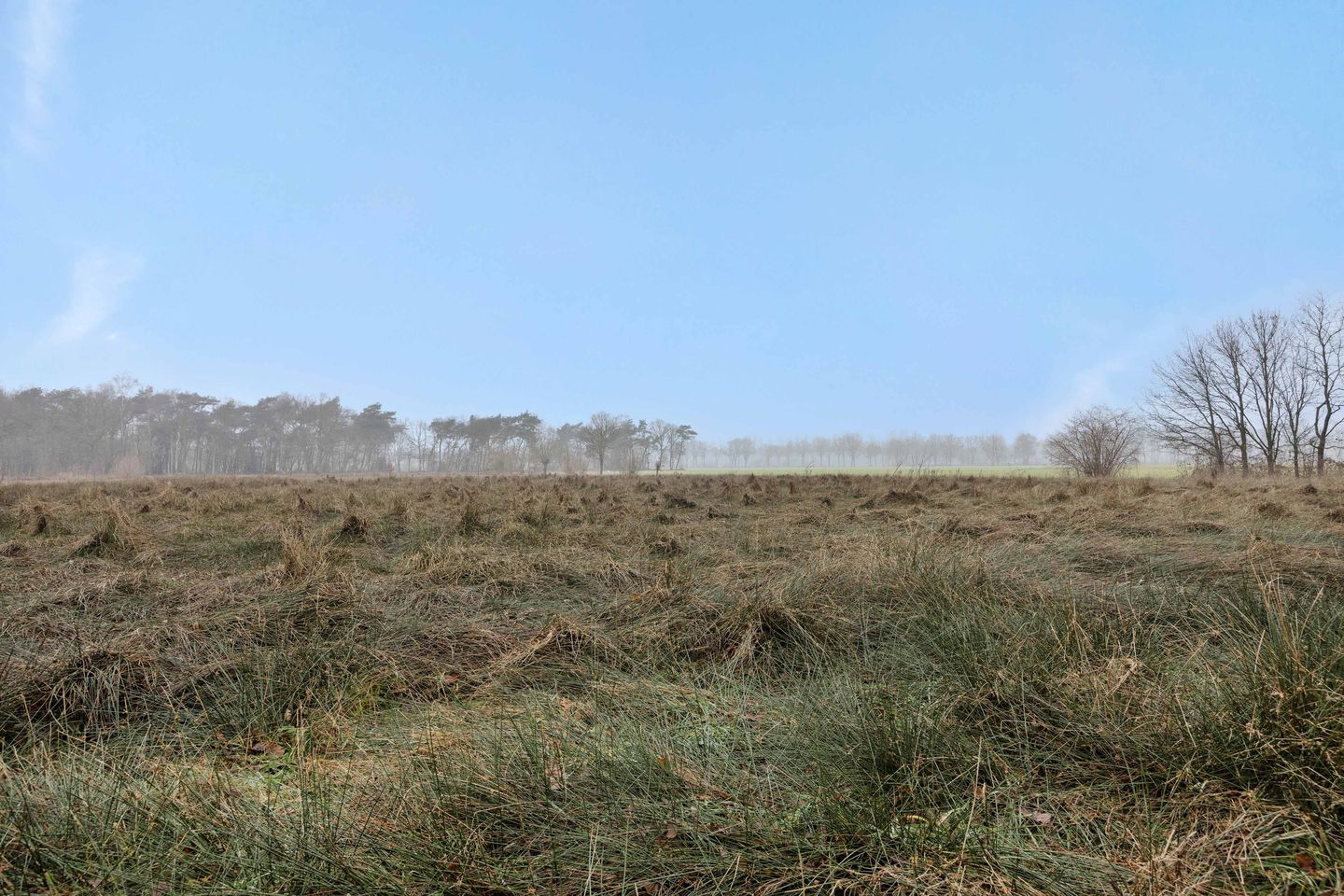 Foto 14 van Landgoed De Berkt - Bouwkavel 1