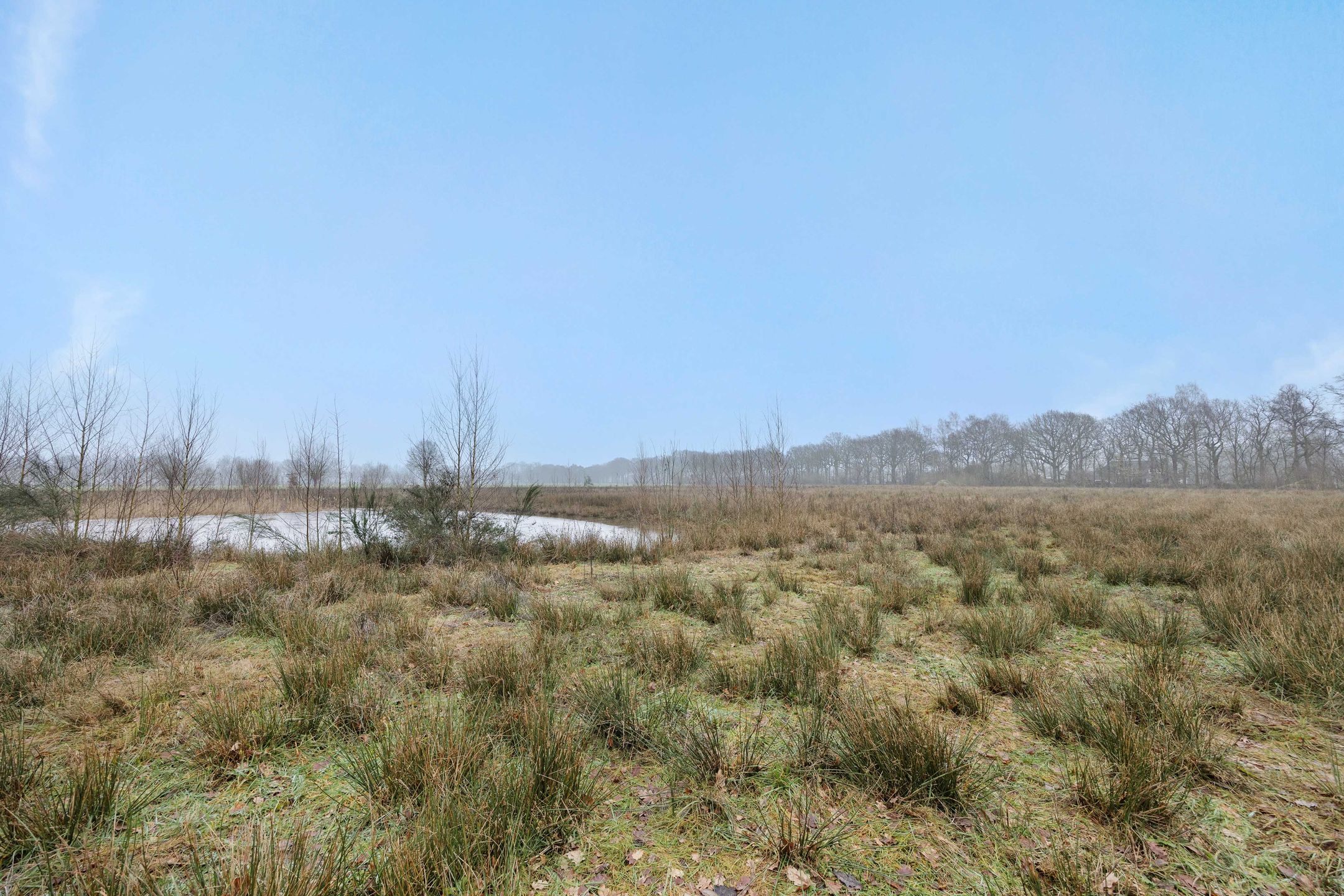 Photo 9 of Landgoed De Berkt - Bouwkavel 2