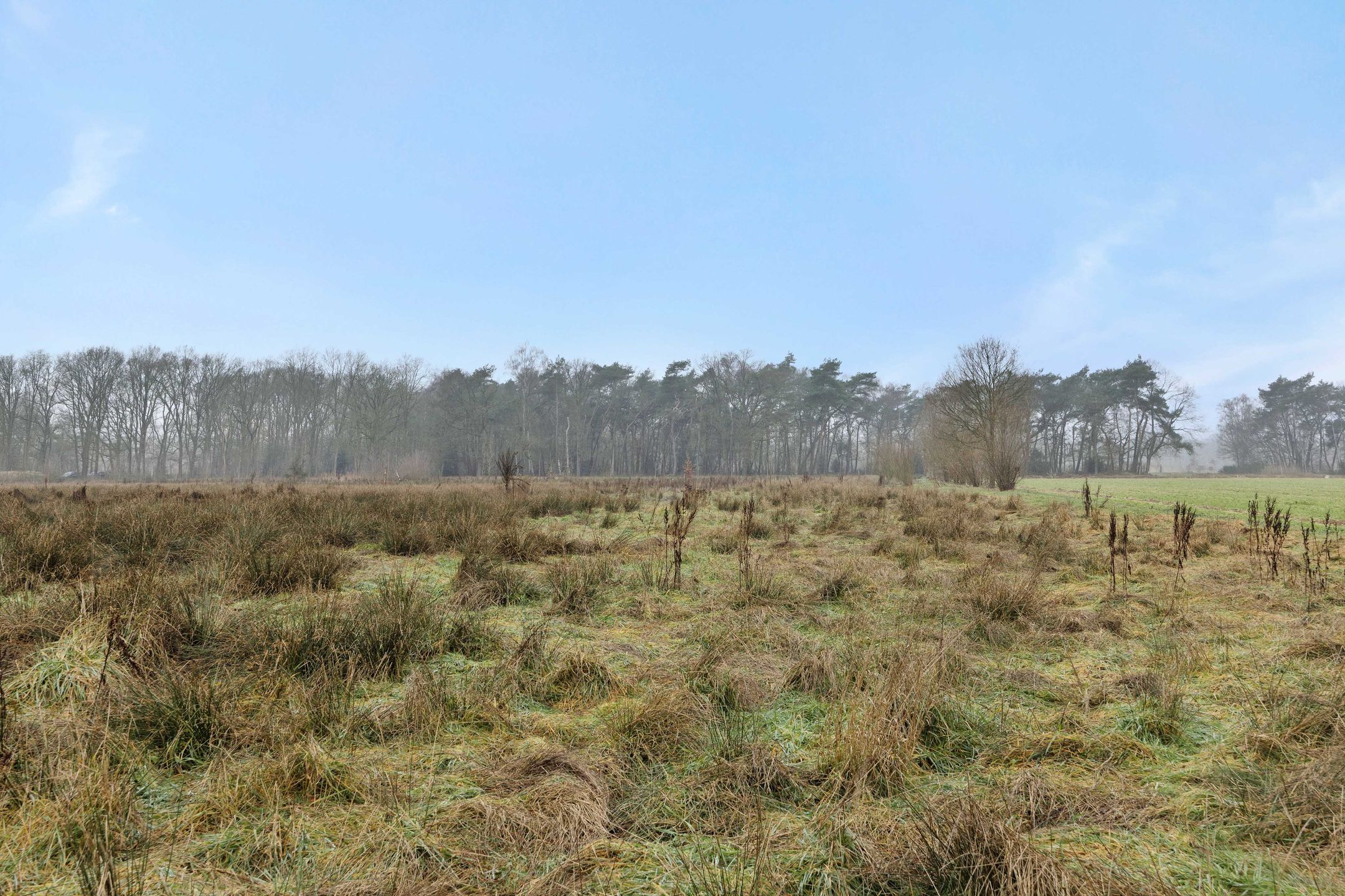 Foto 15 van Landgoed De Berkt - Bouwkavel 1