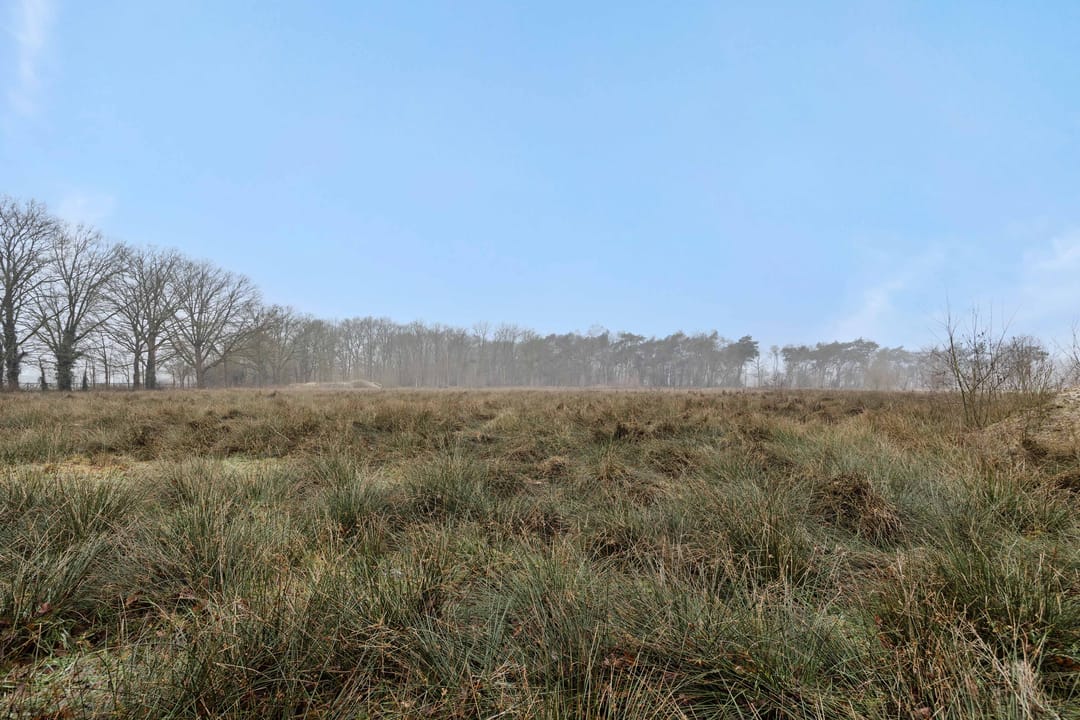 Foto 16 van Landgoed De Berkt - Bouwkavel 1