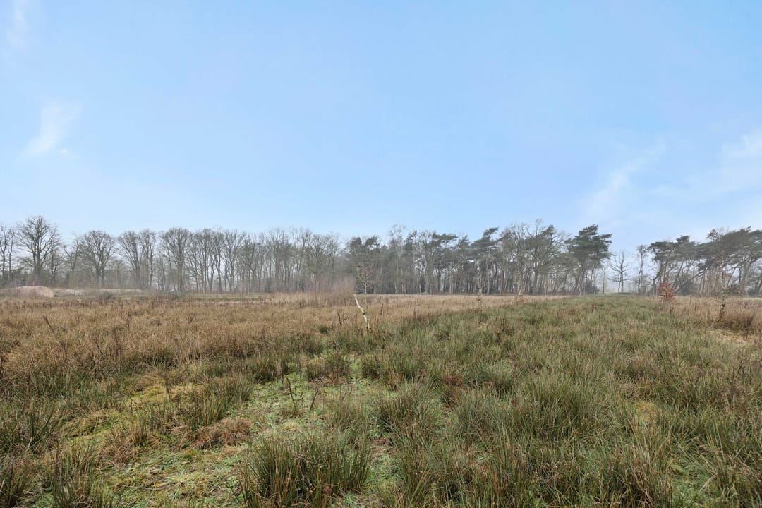 Foto 17 van Landgoed De Berkt - Bouwkavel 1