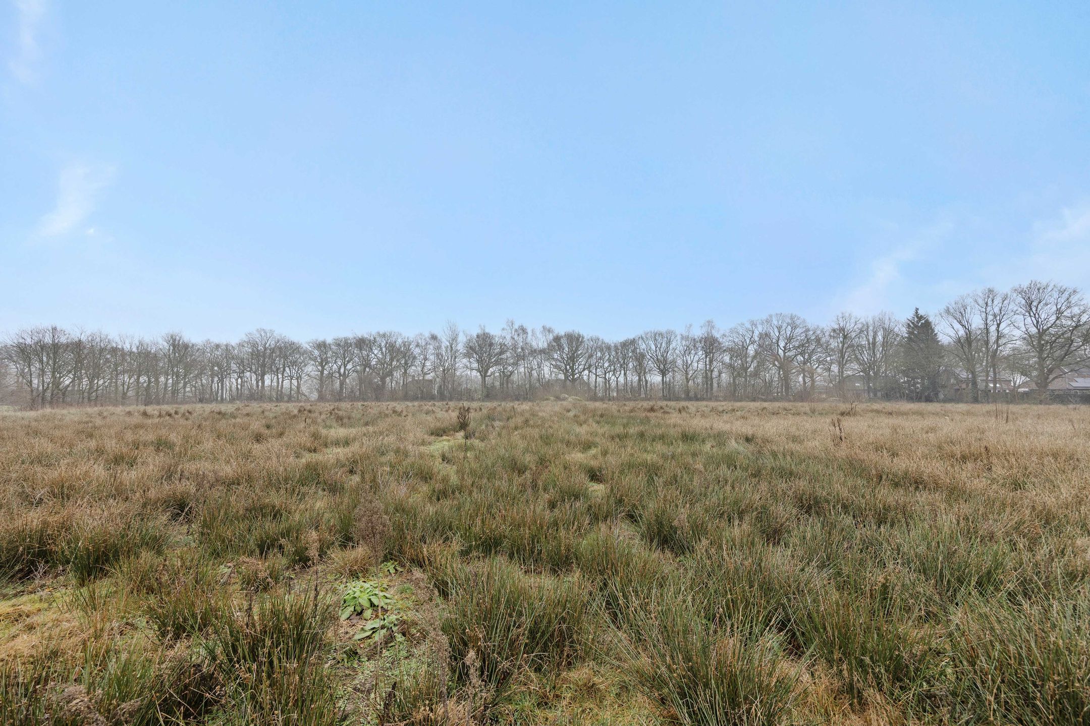 Foto 18 van Landgoed De Berkt - Bouwkavel 1