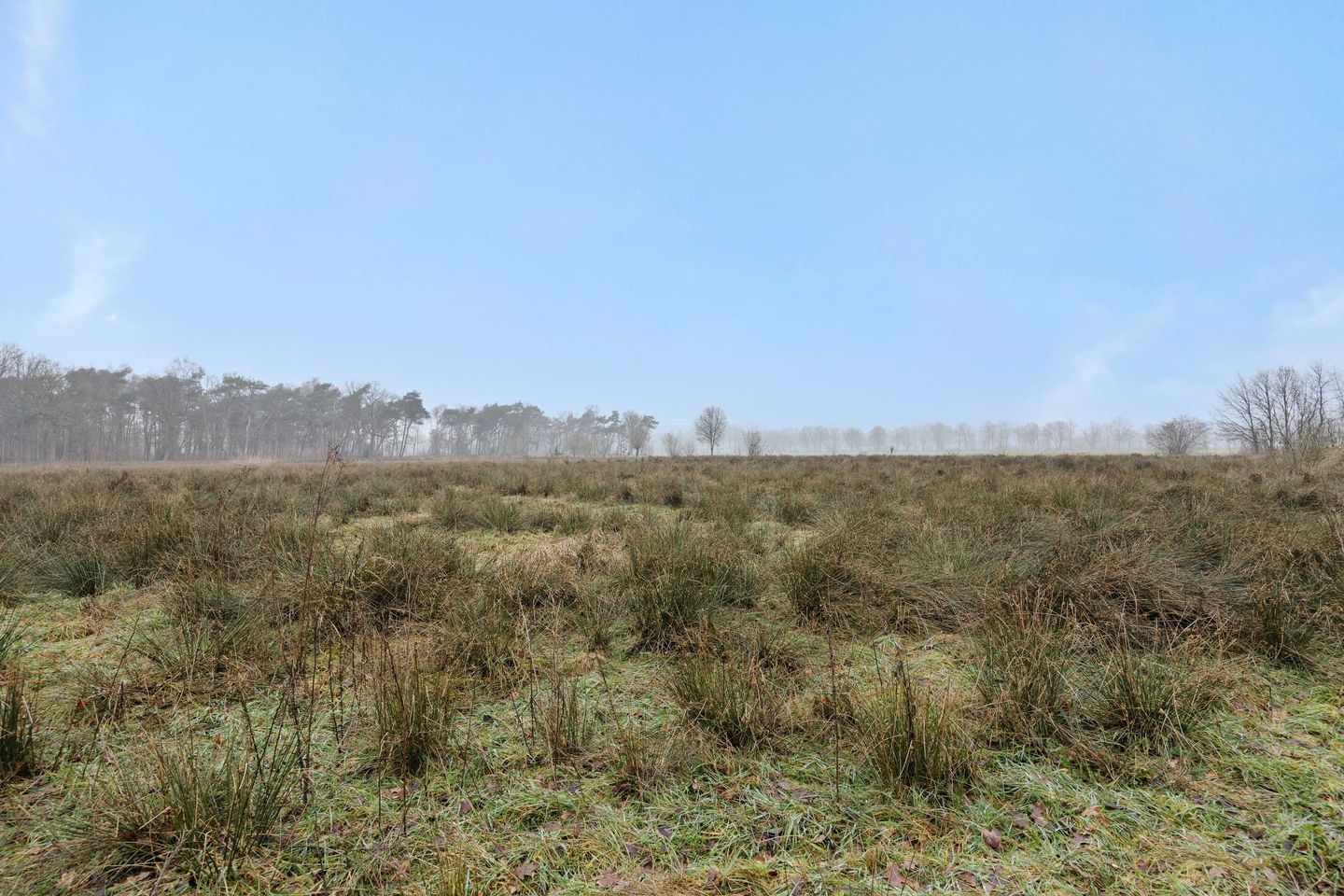 Foto 19 van Landgoed De Berkt - Bouwkavel 1