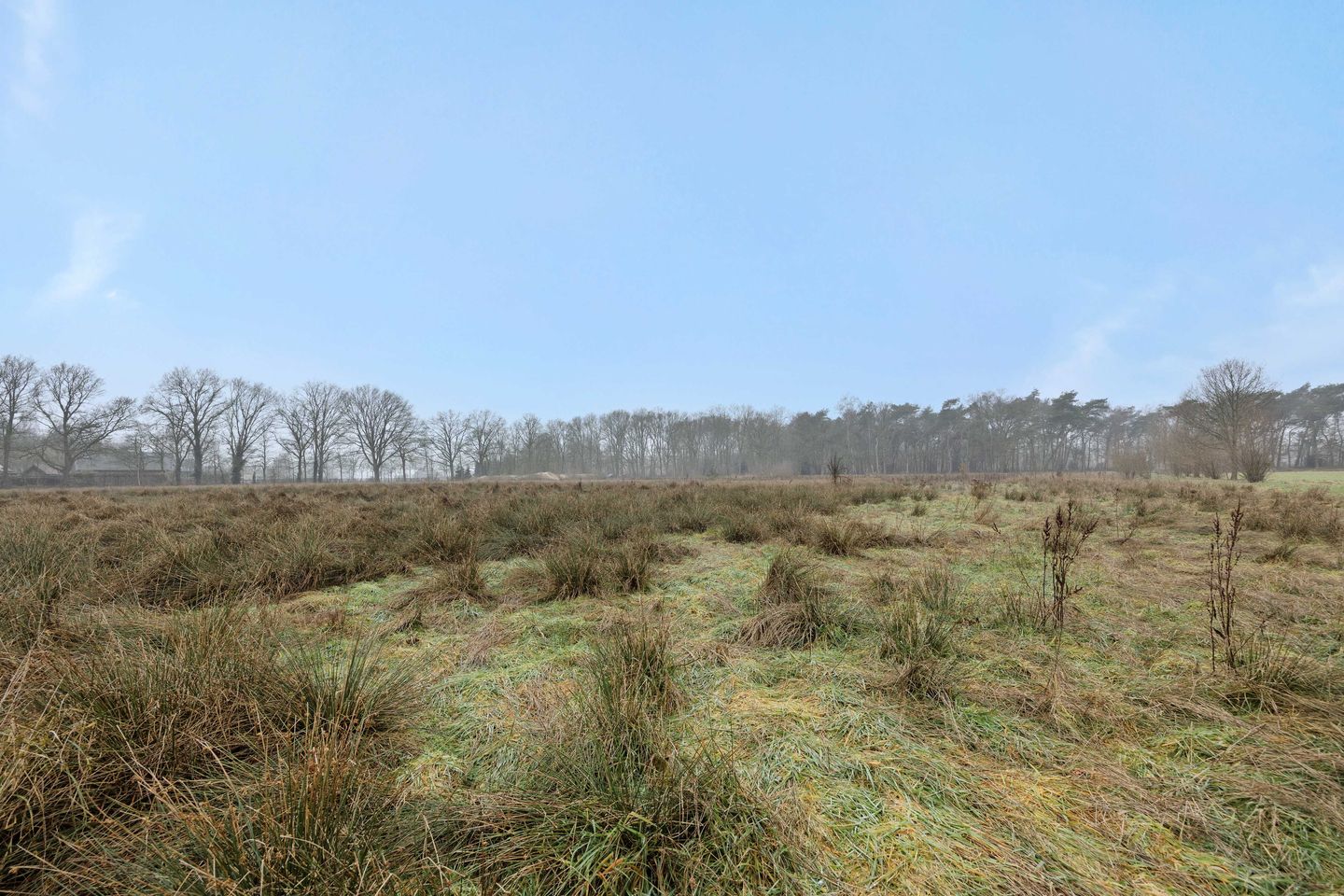 Foto 20 van Landgoed De Berkt - Bouwkavel 1