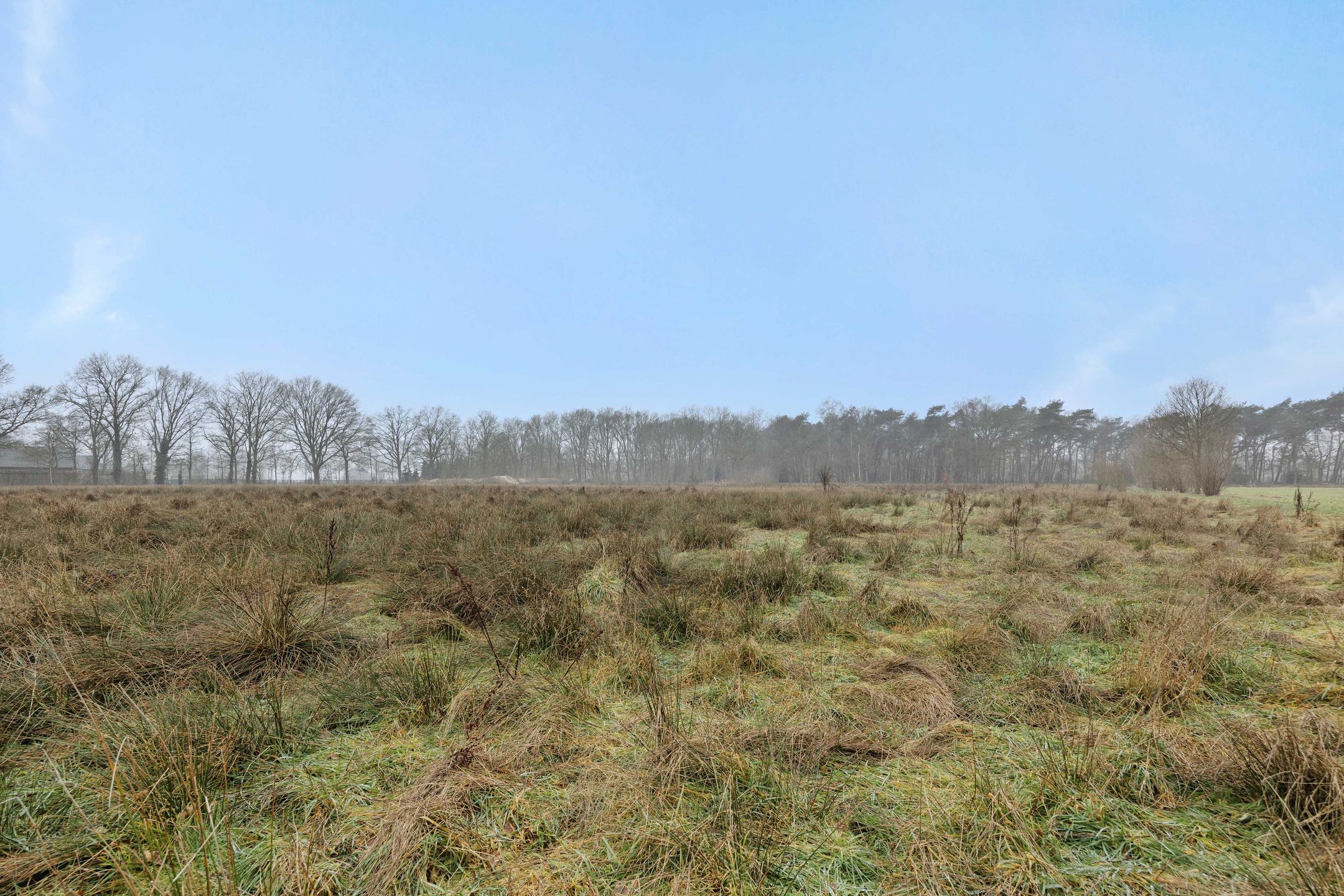 Foto 21 van Landgoed De Berkt - Bouwkavel 1