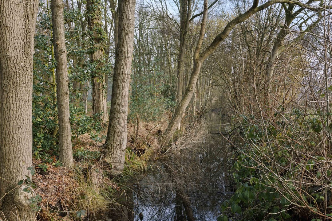 Foto 26 van Landgoed De Berkt - Bouwkavel 1