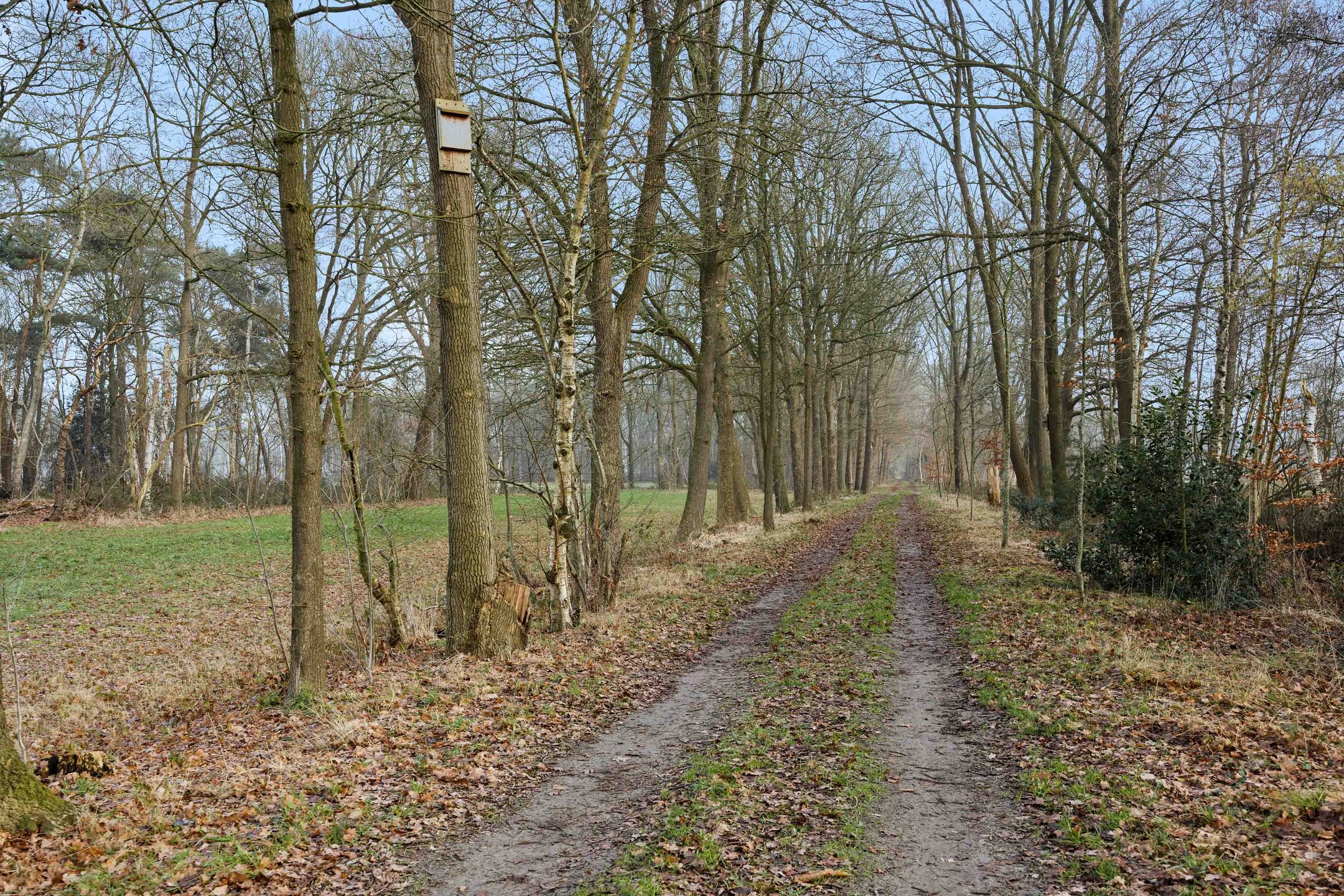 Foto 27 van Landgoed De Berkt - Bouwkavel 1