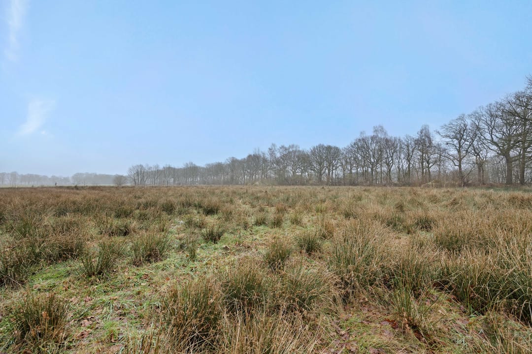 Photo 22 of Landgoed De Berkt - Bouwkavel 2