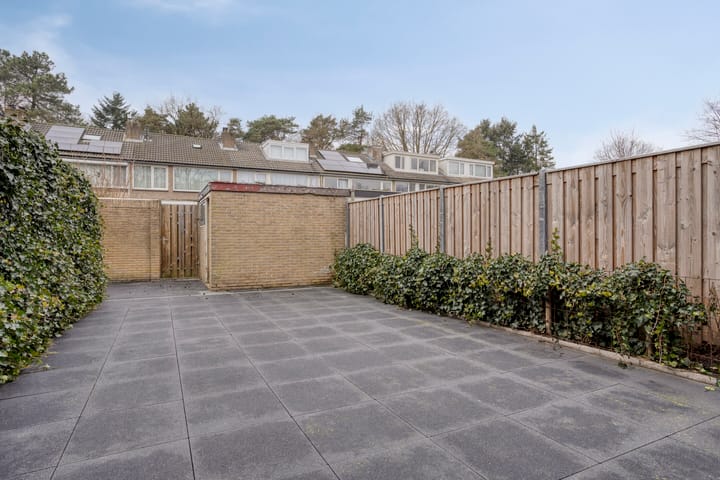 Foto 16 van Roland Holsthof 21