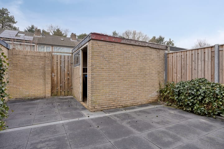 Foto 17 van Roland Holsthof 21