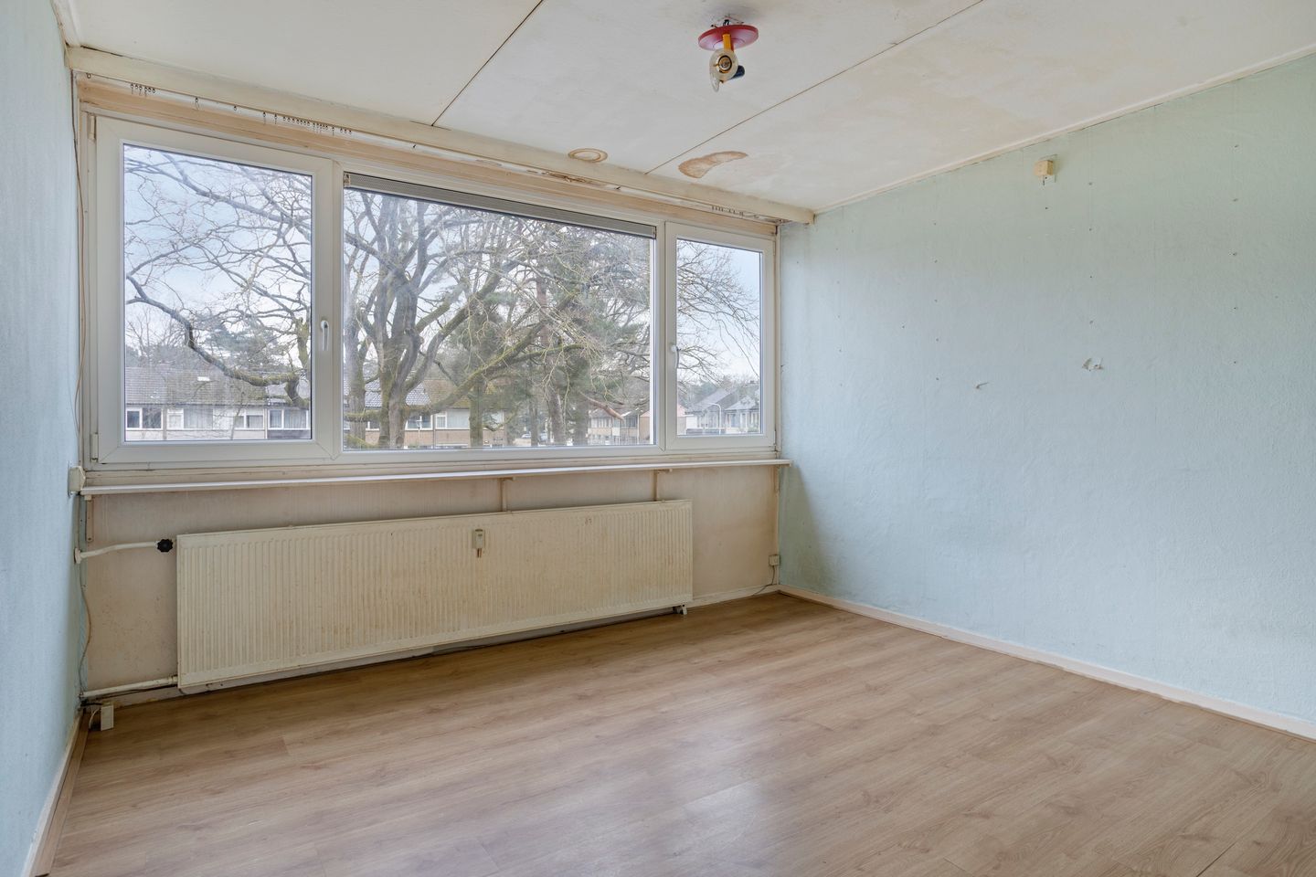 Foto 10 van Roland Holsthof 21