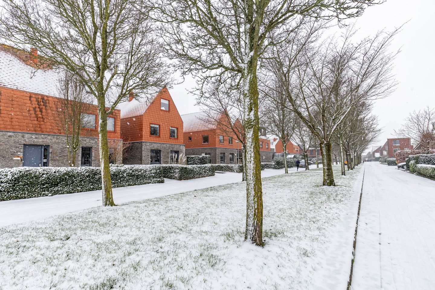 Foto 5 van Jukwerd 9