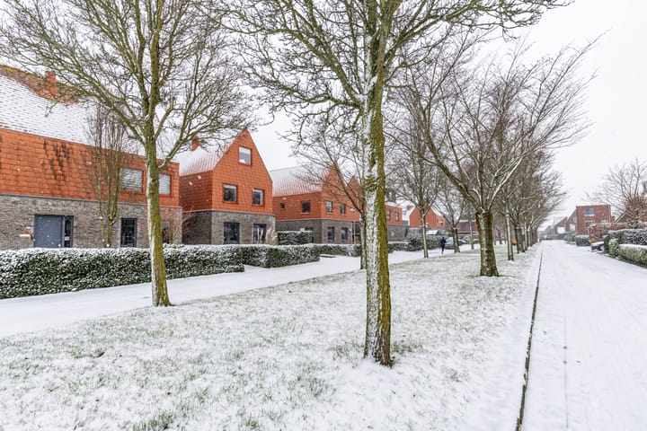 Foto 5 van Jukwerd 9