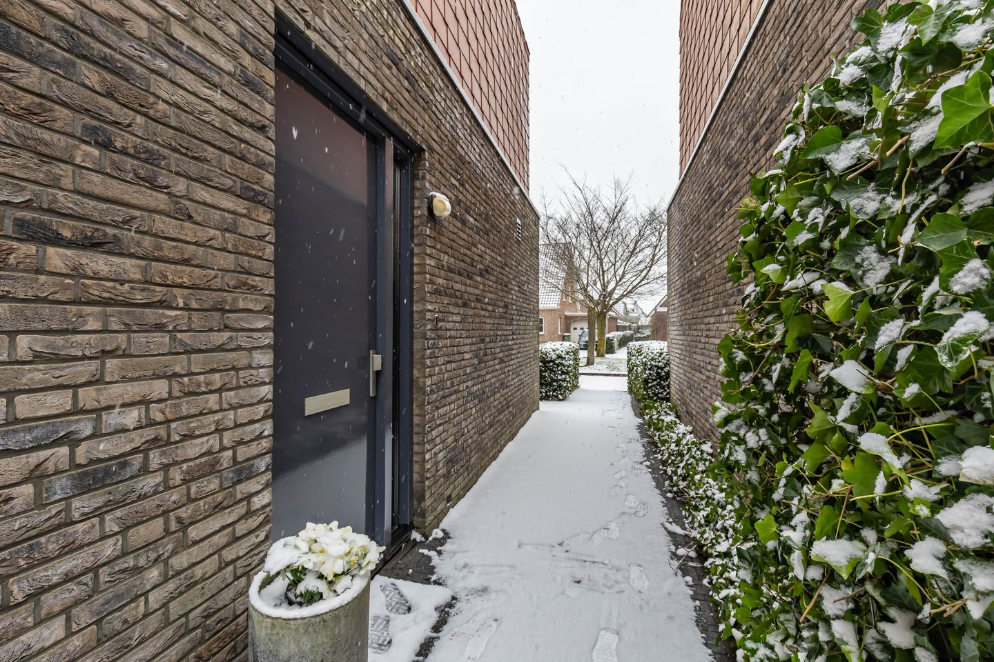 Foto 10 van Jukwerd 9