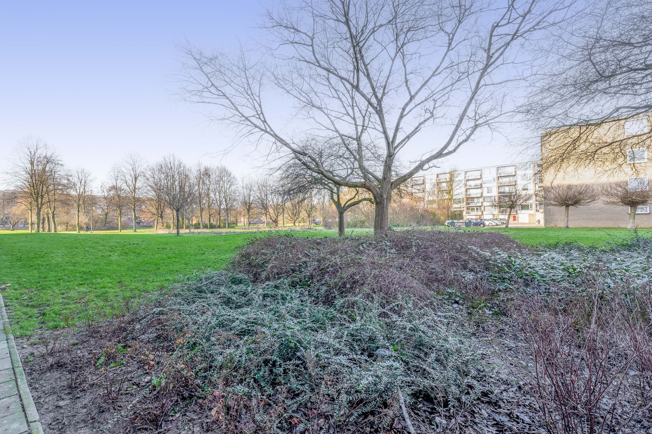 Foto 21 van Telemannstraat 17