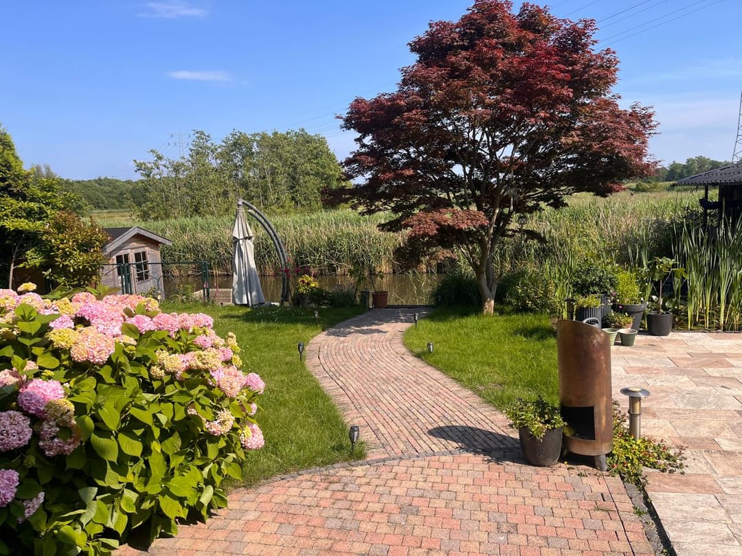 Foto 17 van Parelmoervlinder 2