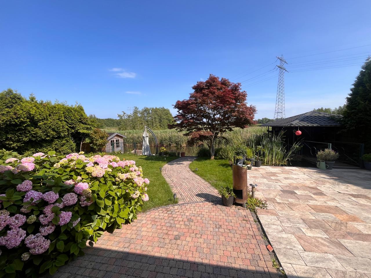 Foto 18 van Parelmoervlinder 2