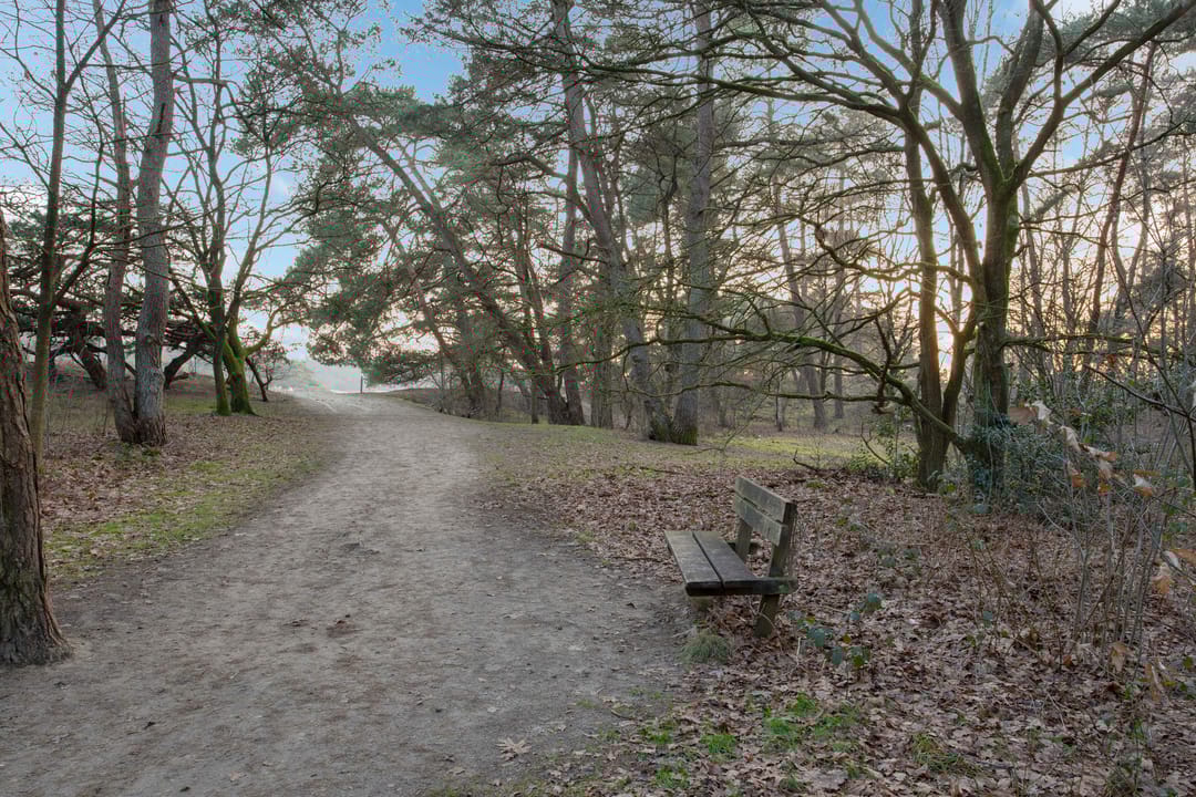 Photo 68 of Bovenweg 35