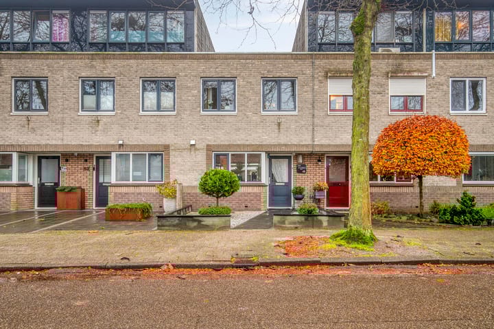 Atlasvlinder 50 main image