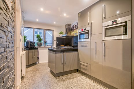 Atlasvlinder 50 tertiary image