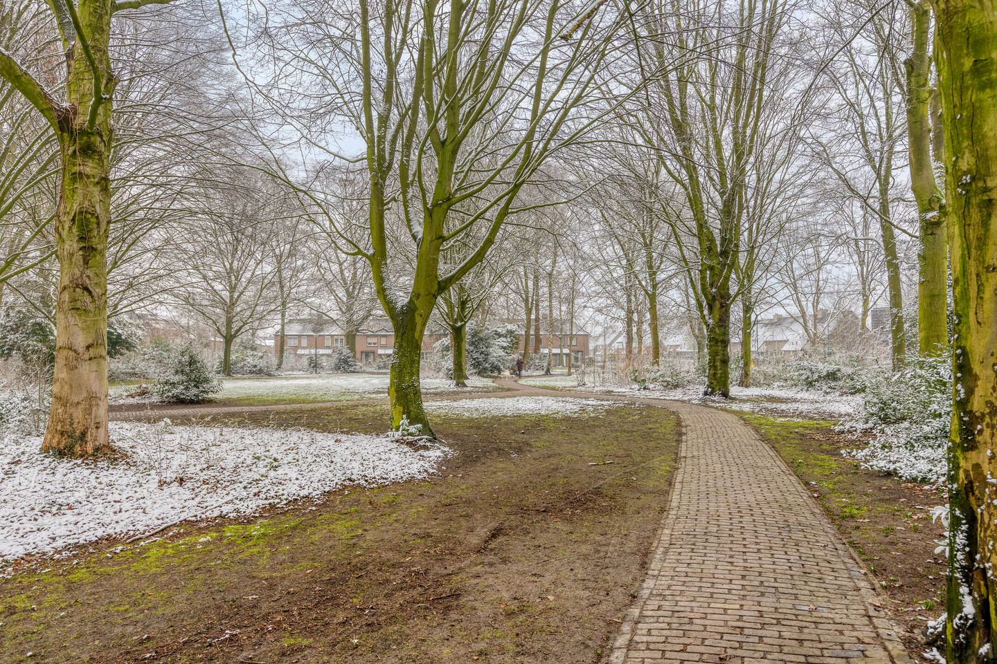 Photo 44 of Zwaluwendonk 12