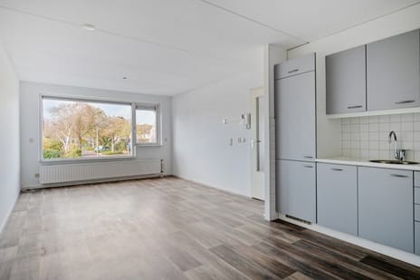 De Sonneveld thumbnail