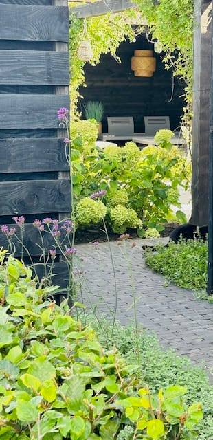 Foto 45 van Westergrift 58