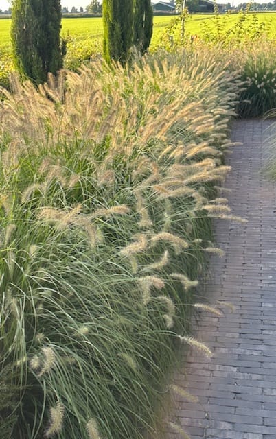 Foto 46 van Westergrift 58