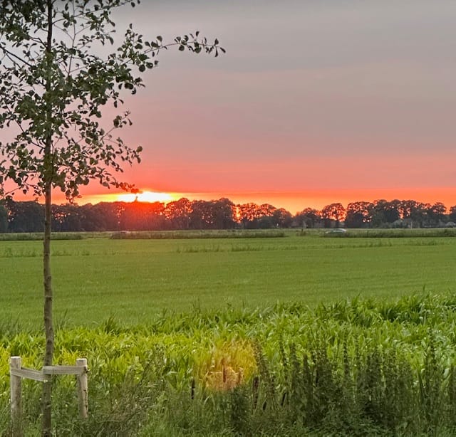 Foto 51 van Westergrift 58