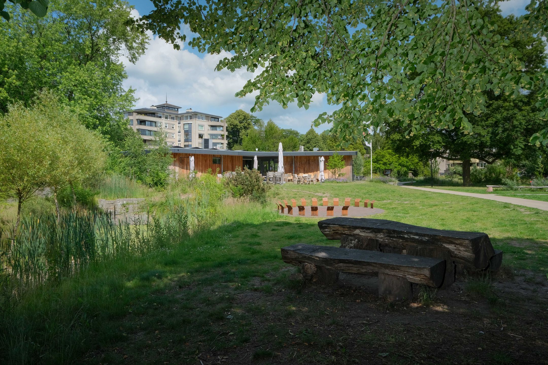 Photo 3 of Hagenborgh 255