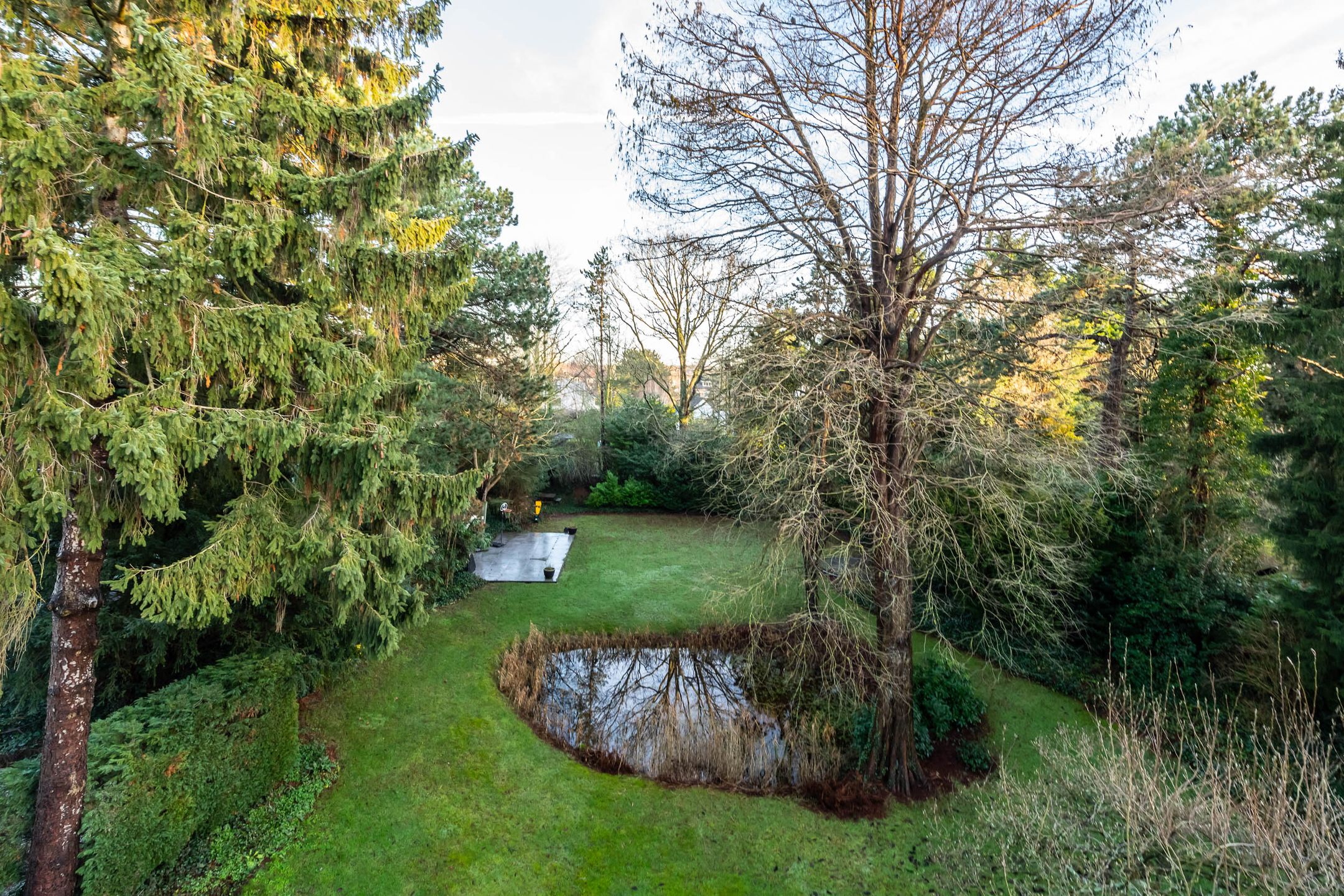 Photo 54 of Burgemeester den Texlaan 11