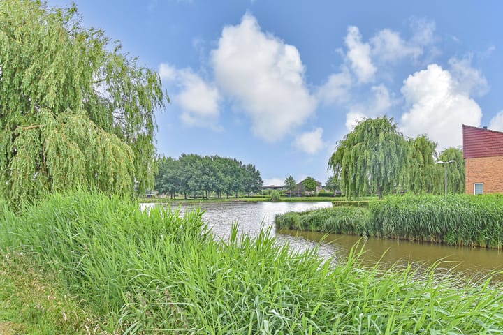 Foto 18 van Berkelsezoom 40