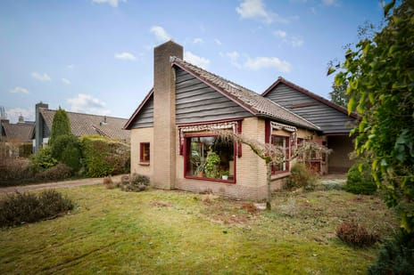 undefined main image