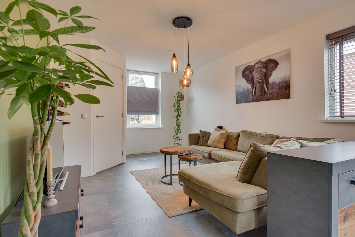 Foto 10 van Paardenstraat 47