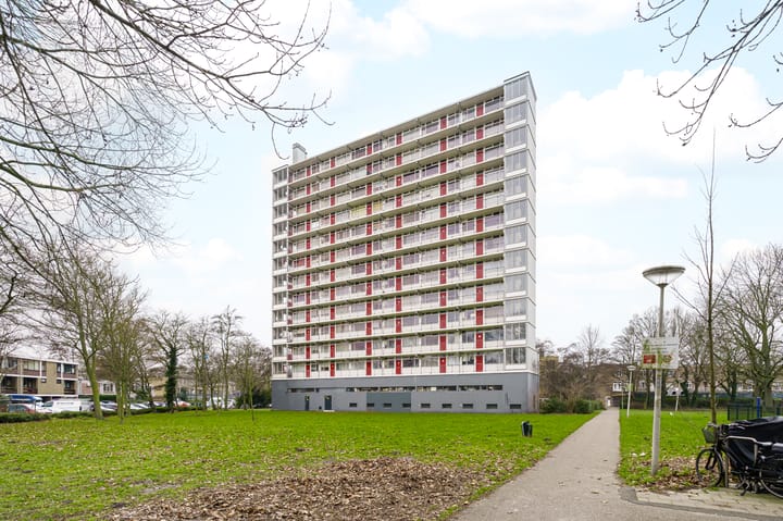 Elviraland 144 main image