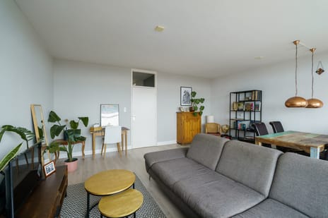 Elviraland 144 secondary image