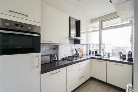 Elviraland 144 tertiary image