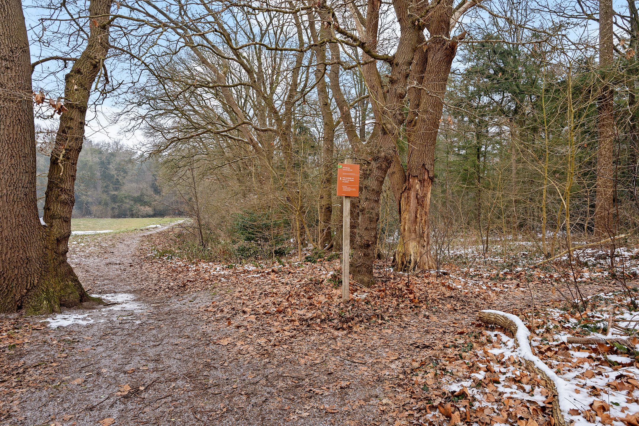 Photo 48 of Landschaplaan 167