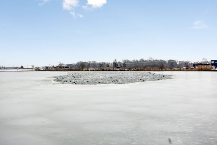 Photo 57 of Oeverpad 295