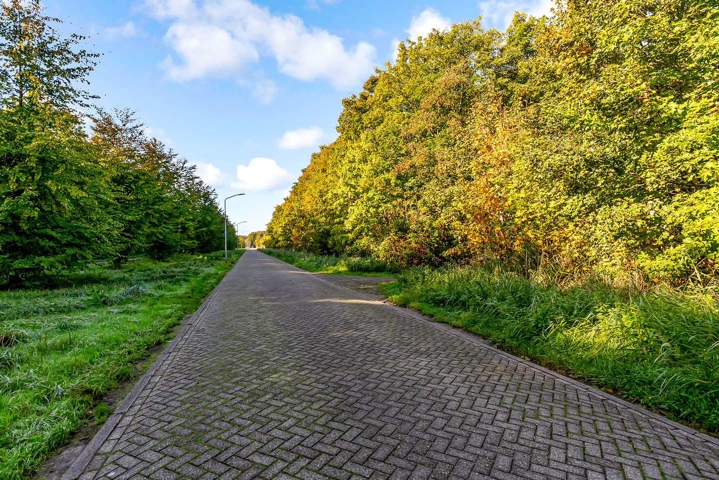 Photo 49 of Dinsdagstraat 8