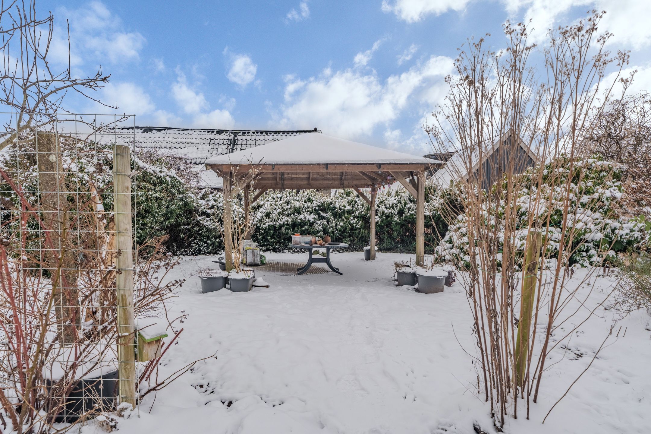 Foto 36 van Pelmolenlaan 1