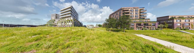 Bekijk 360° foto van foto1 van Zuidhof fase 1