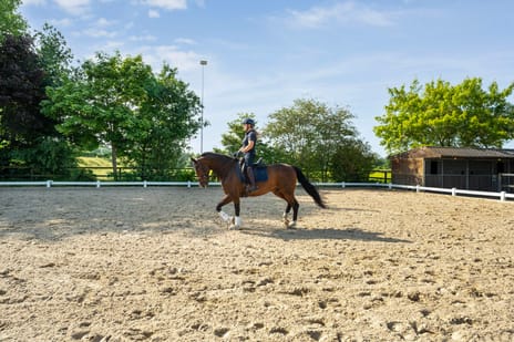 Kastanjelaan 54 tertiary image