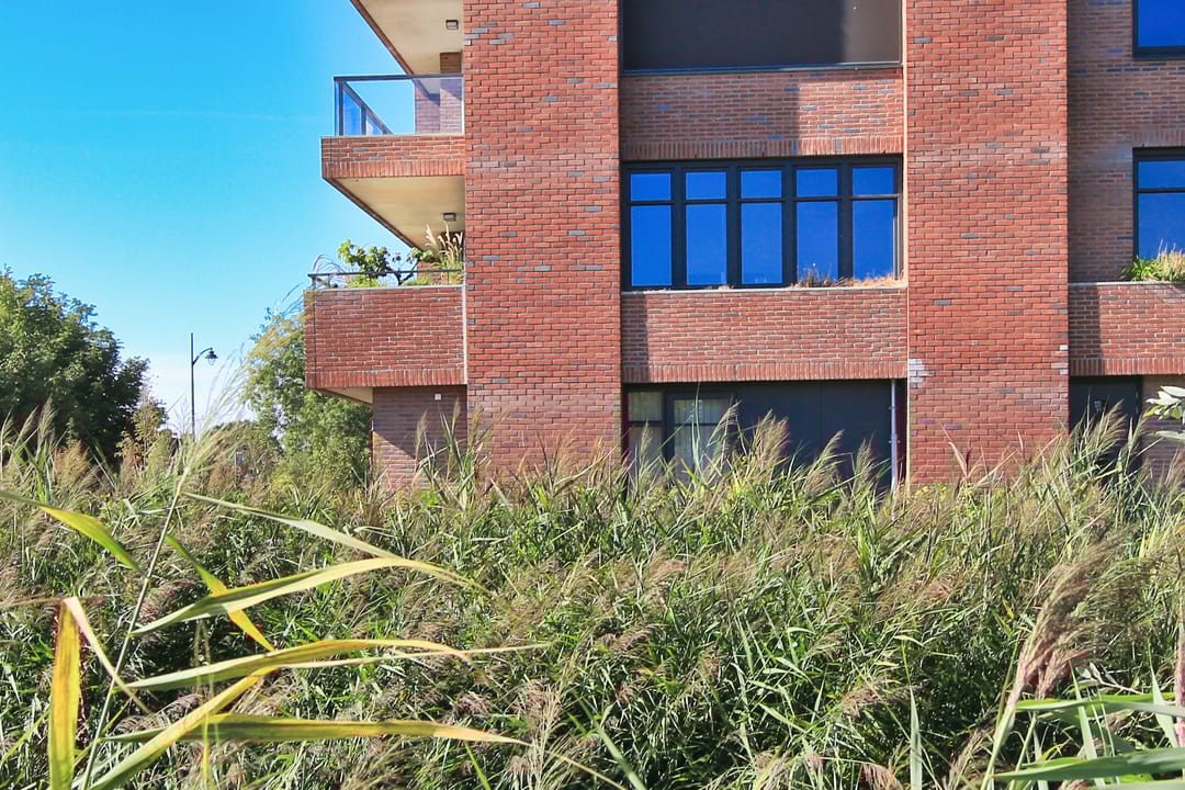 Foto 56 van Joes Kloppenburghof 32