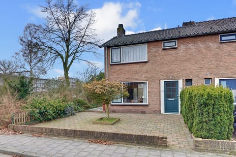 undefined main image