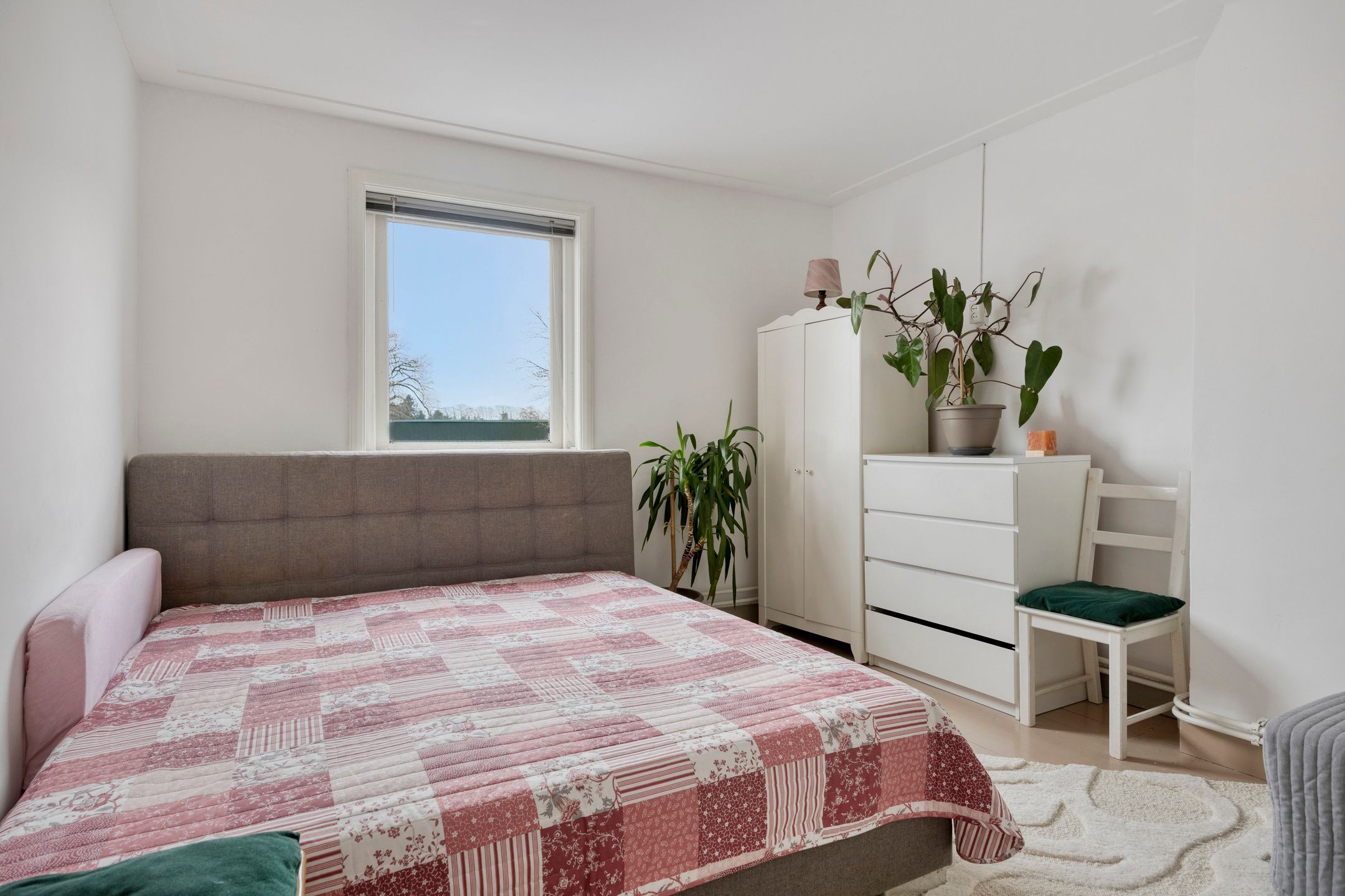 Foto 15 van Loveren 12